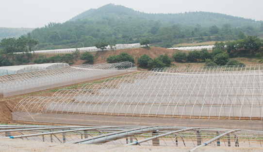 蔬菜種子實驗基地江蘇科研基地