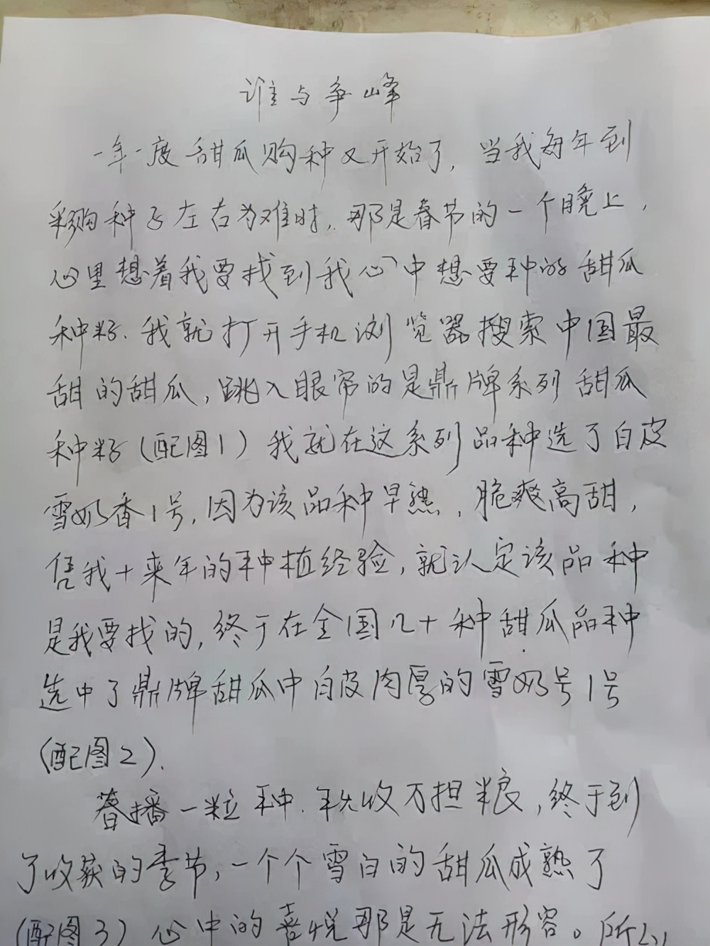 河南焦作的李向林今年種植甜瓜新品種，客戶直接拉貨走人