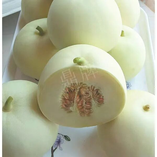 蔬菜種子種植戶種植心得-這個(gè)品種幫我留一些，4月份我們當(dāng)?shù)剡€要種一批