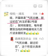 蔬菜種子種植戶客戶點評-“氣死白糖，甜過初戀”，您知道或體驗過這句話嗎